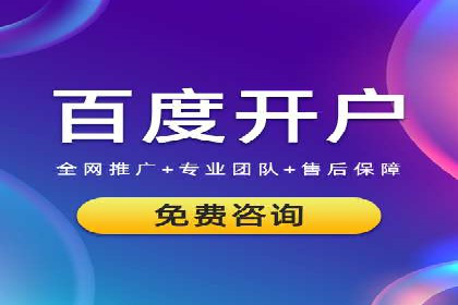 SEM托管服务，成功案例见证转化奇迹